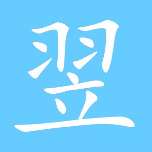 翌名字意思|翌的意思，翌字的意思